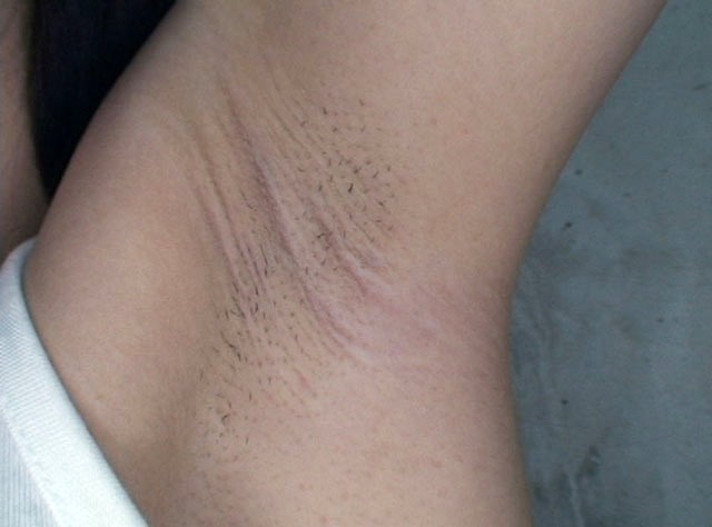 サンプル画像 19