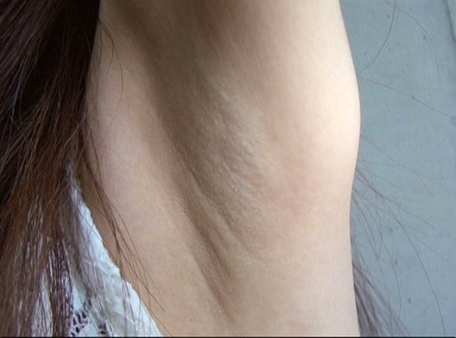 サンプル画像 20