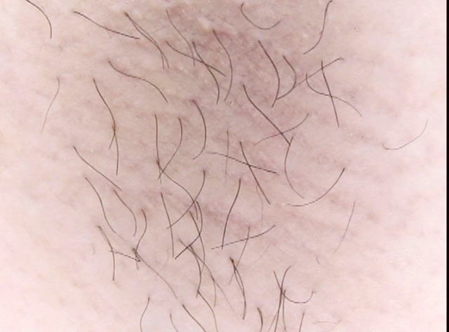 サンプル画像 3