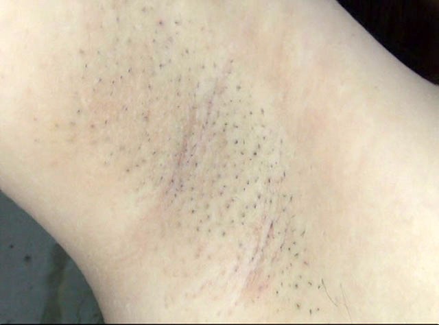 サンプル画像 21