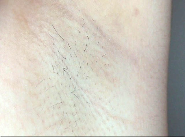 サンプル画像 7