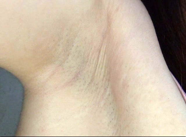 サンプル画像 8