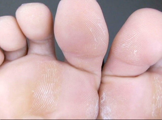 サンプル画像 16