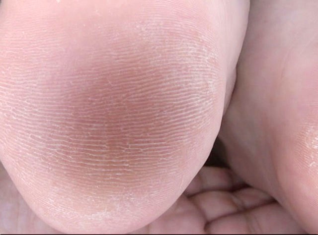 サンプル画像 19