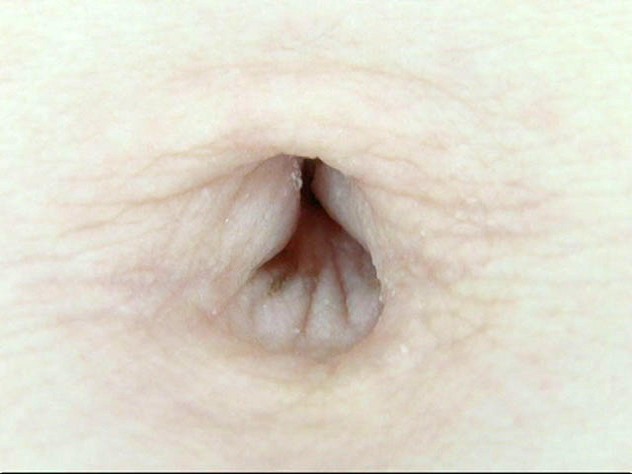 サンプル画像 11