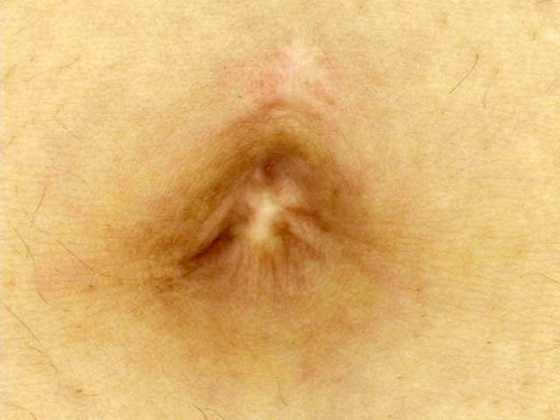 サンプル画像 12