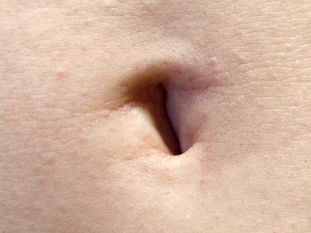 サンプル画像 13