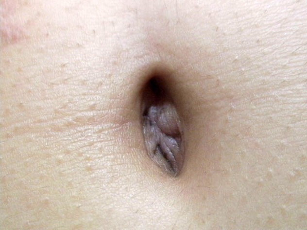 サンプル画像 15