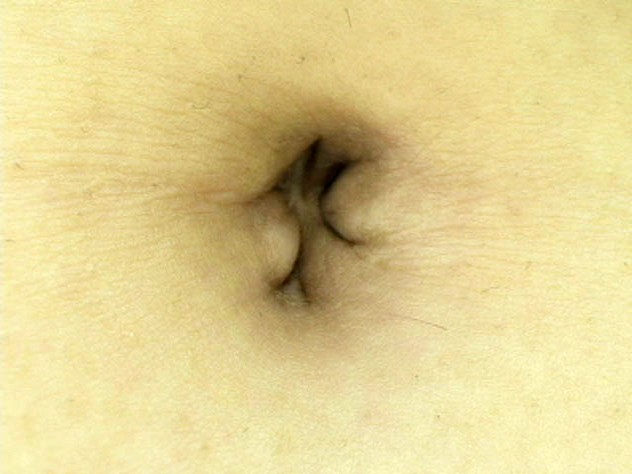 サンプル画像 21