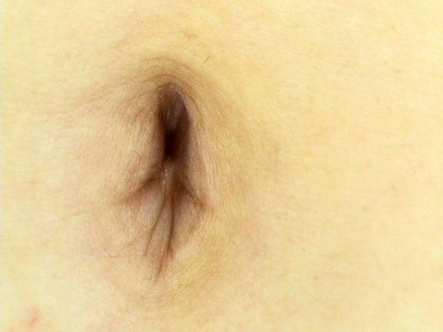 サンプル画像 4