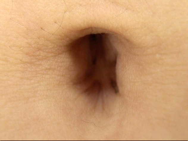 サンプル画像 5