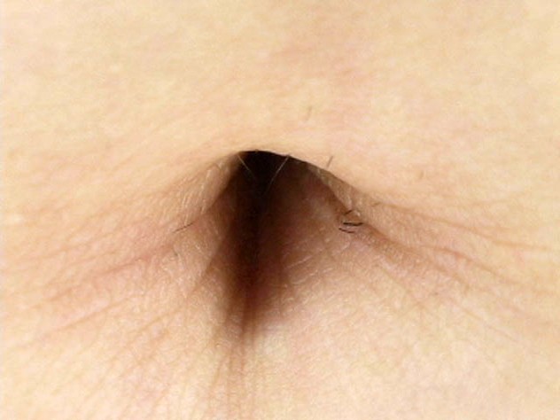 サンプル画像 8