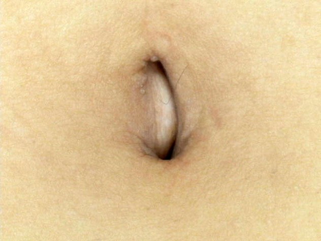 サンプル画像 9