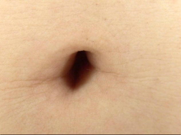 サンプル画像 10