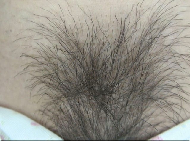 サンプル画像 11