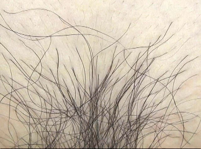 サンプル画像 12