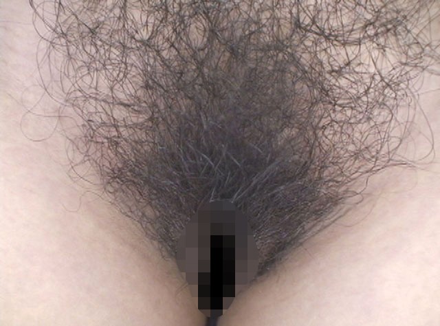 サンプル画像 13