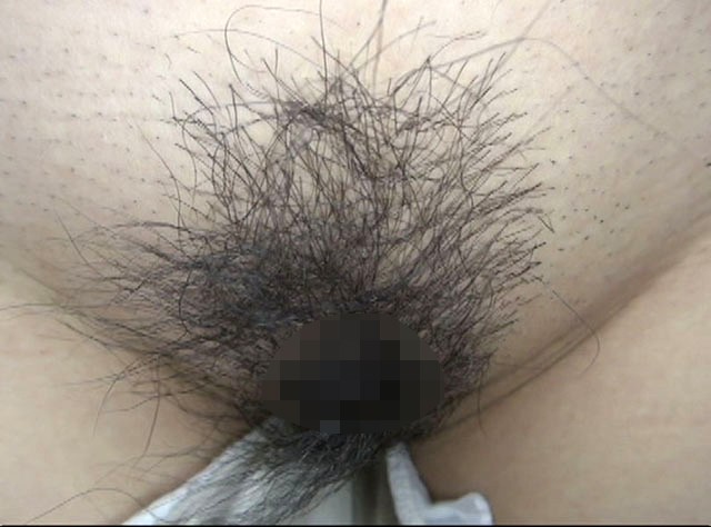 サンプル画像 14