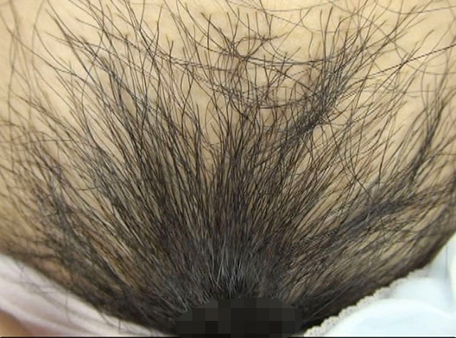 サンプル画像 15