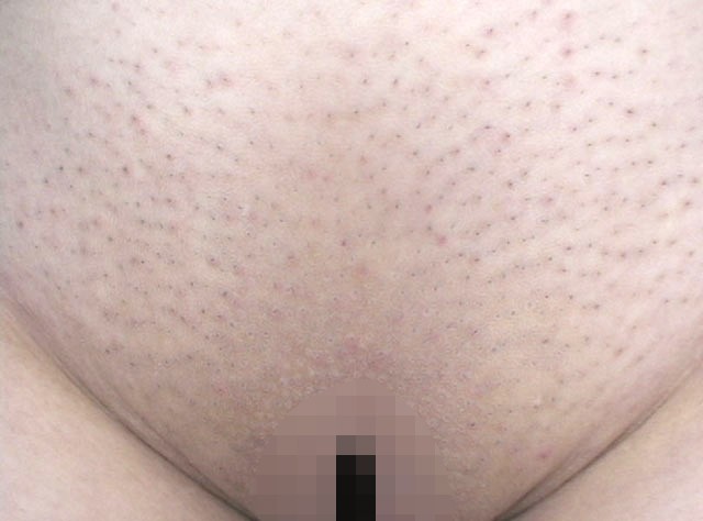 サンプル画像 16