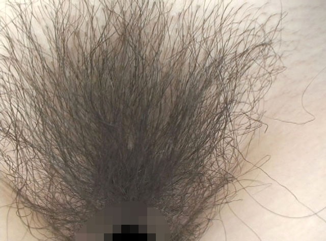 サンプル画像 4