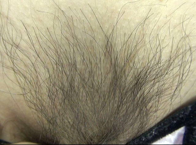 サンプル画像 6