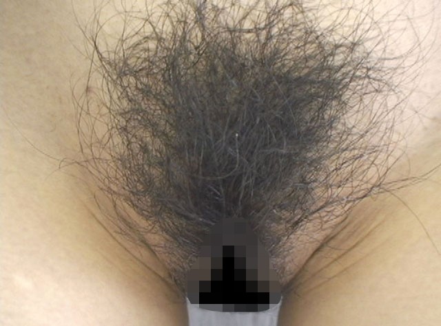 サンプル画像 7