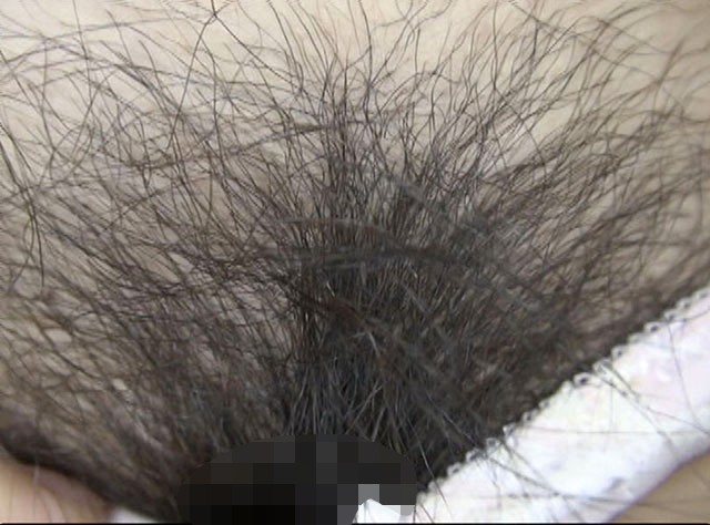 サンプル画像 8