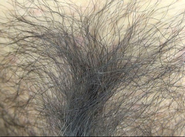 サンプル画像 10