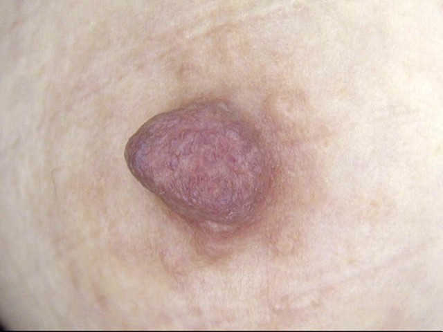 サンプル画像 6