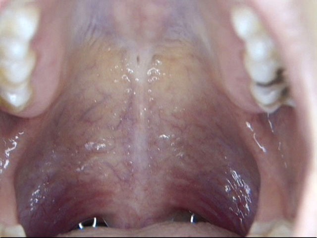 サンプル画像 2