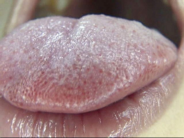 サンプル画像 11