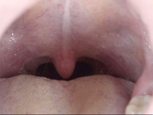 サンプル画像 13