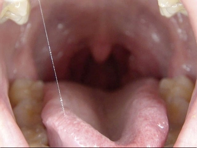 サンプル画像 14