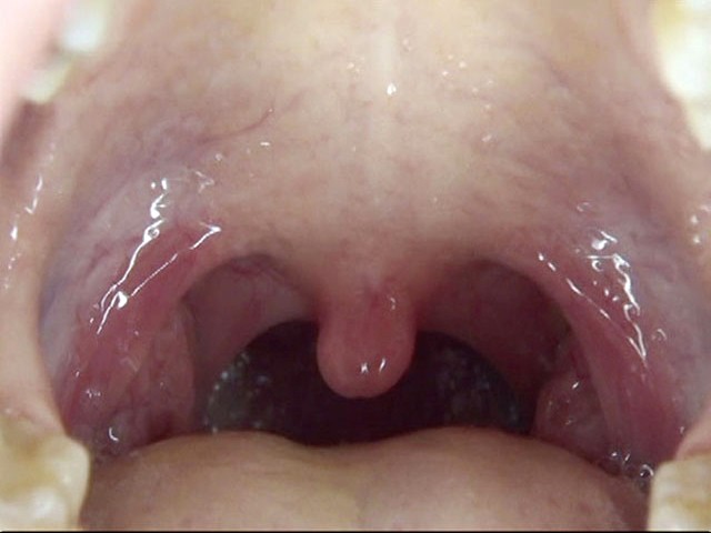 サンプル画像 15