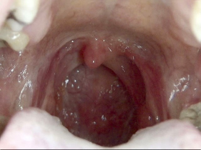 サンプル画像 20