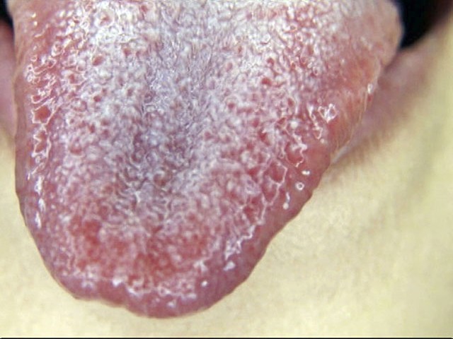 サンプル画像 4