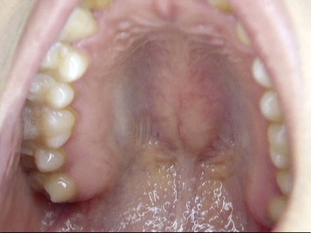 サンプル画像 5