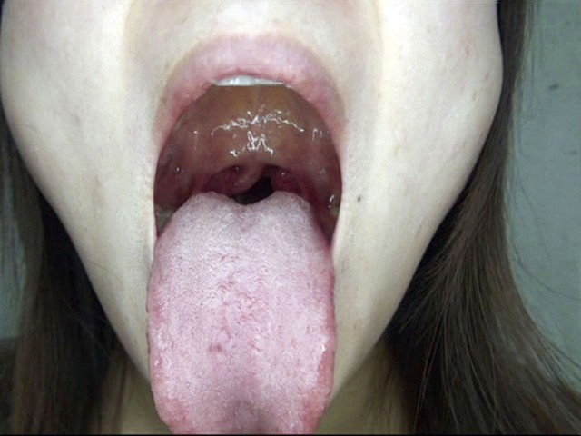 サンプル画像 6