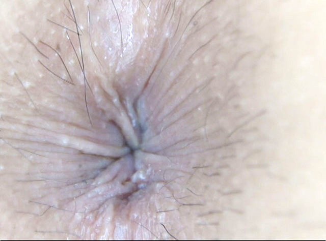 サンプル画像 16