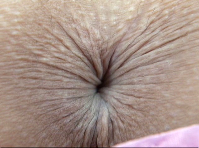 サンプル画像 6