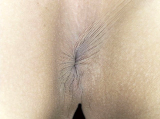 サンプル画像 7