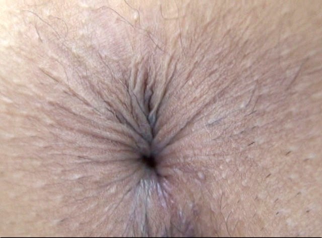 サンプル画像 8