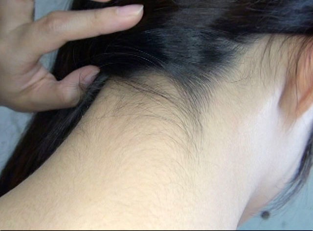 サンプル画像 11