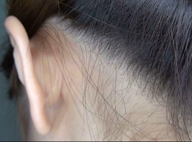 サンプル画像 5