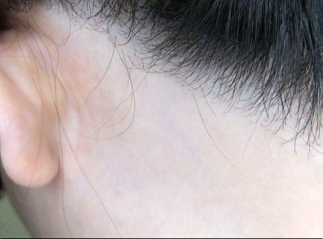 サンプル画像 7