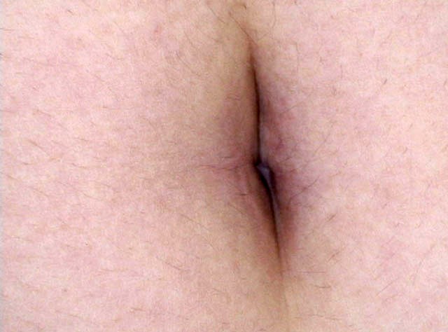 サンプル画像 12