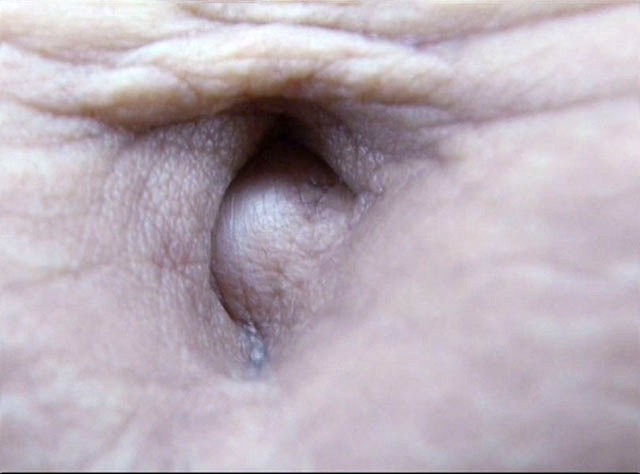 サンプル画像 15