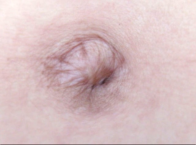 サンプル画像 8