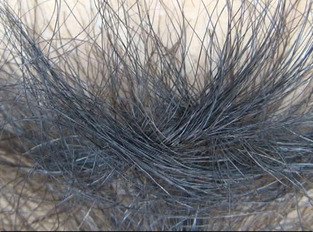 サンプル画像 11